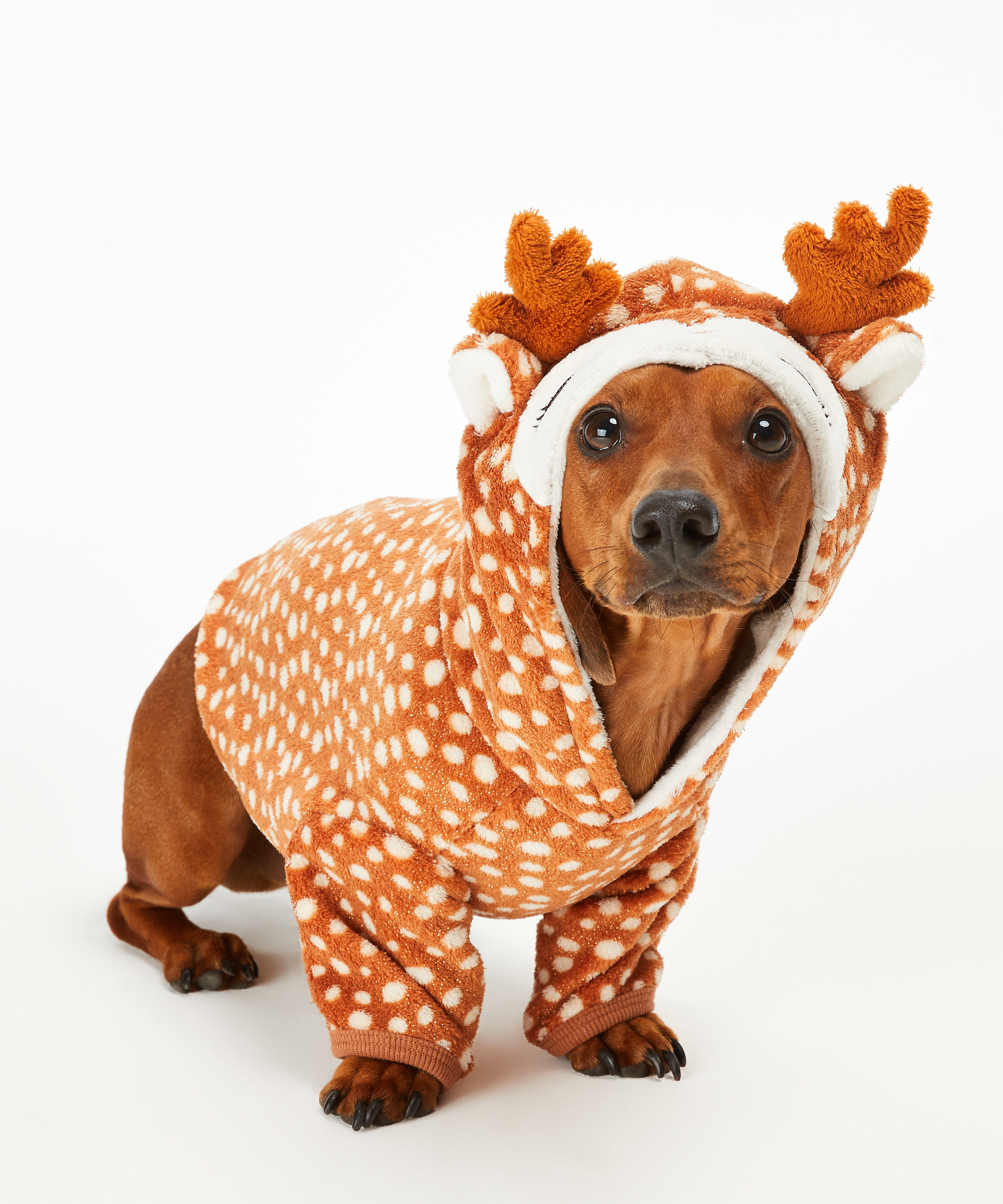 Fleece Hunde-Onesie, Braun, main
