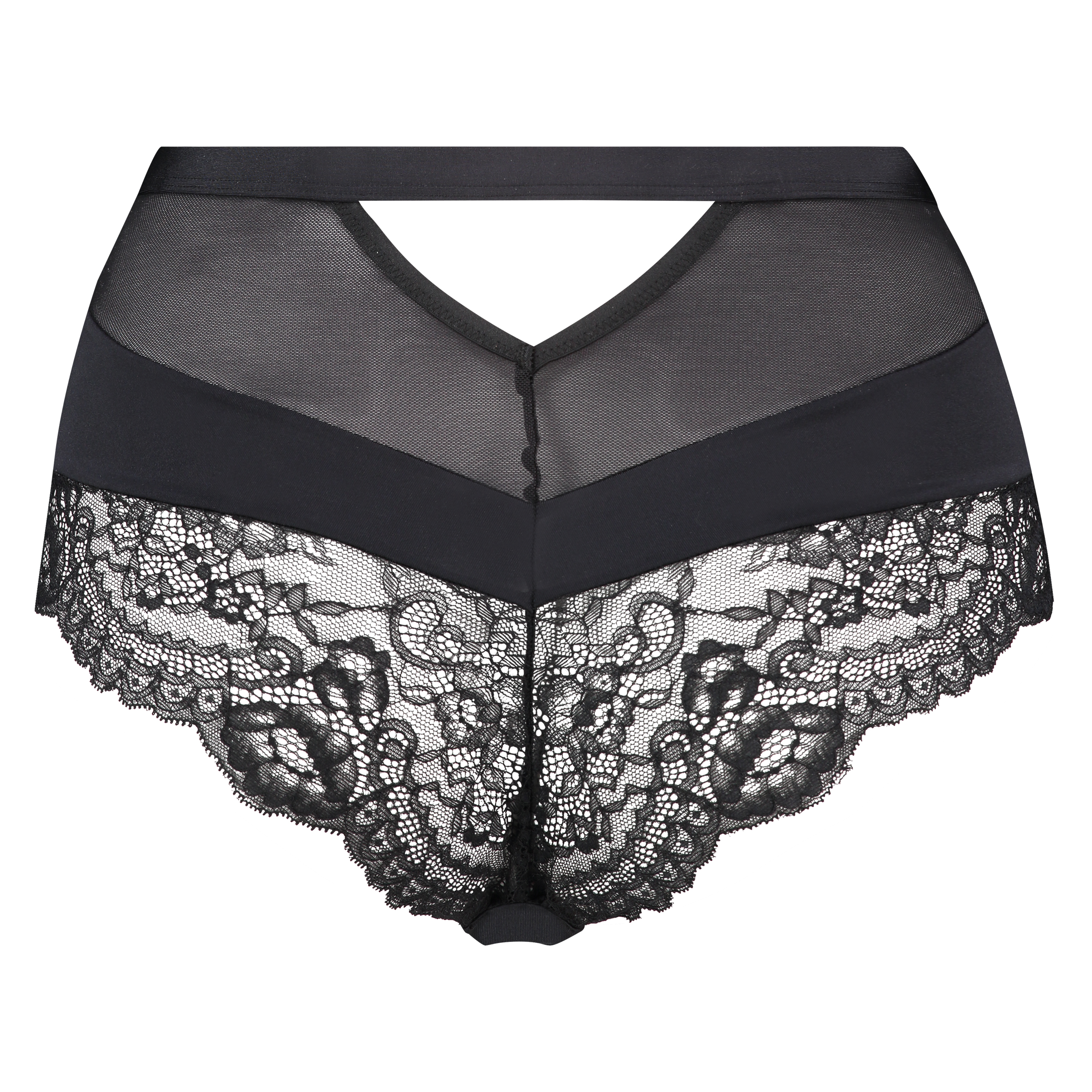 Hoher Brazilian Zinnia Ann Kathrin, Schwarz, main