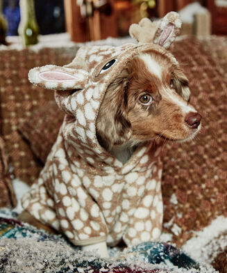 Onesie Polaire Chien, marron