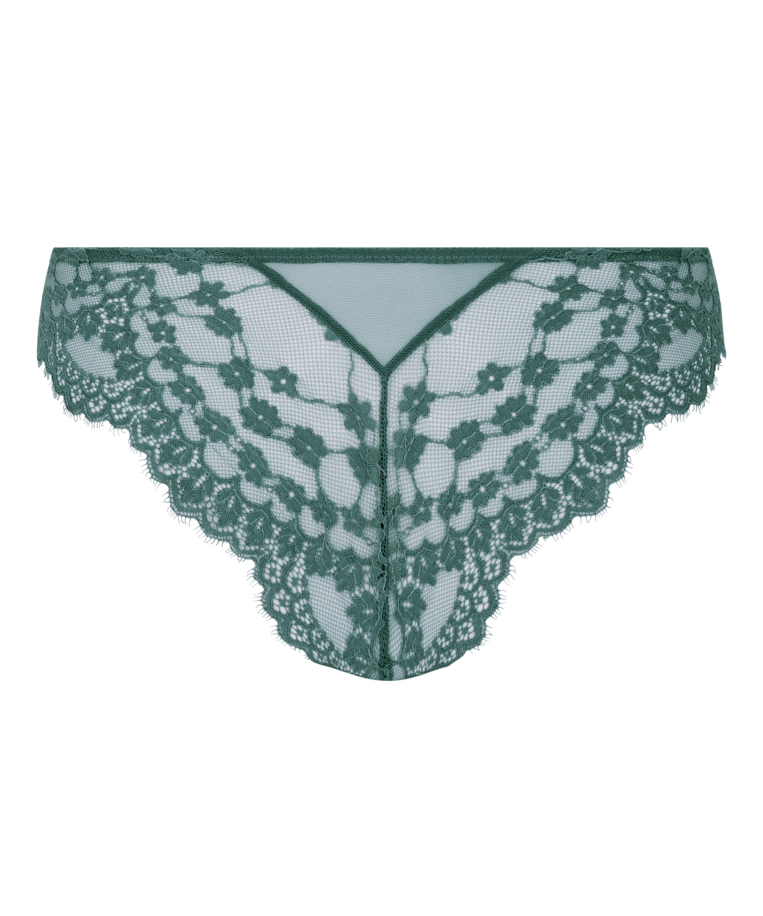 Brazilian Daisy, Blau, main