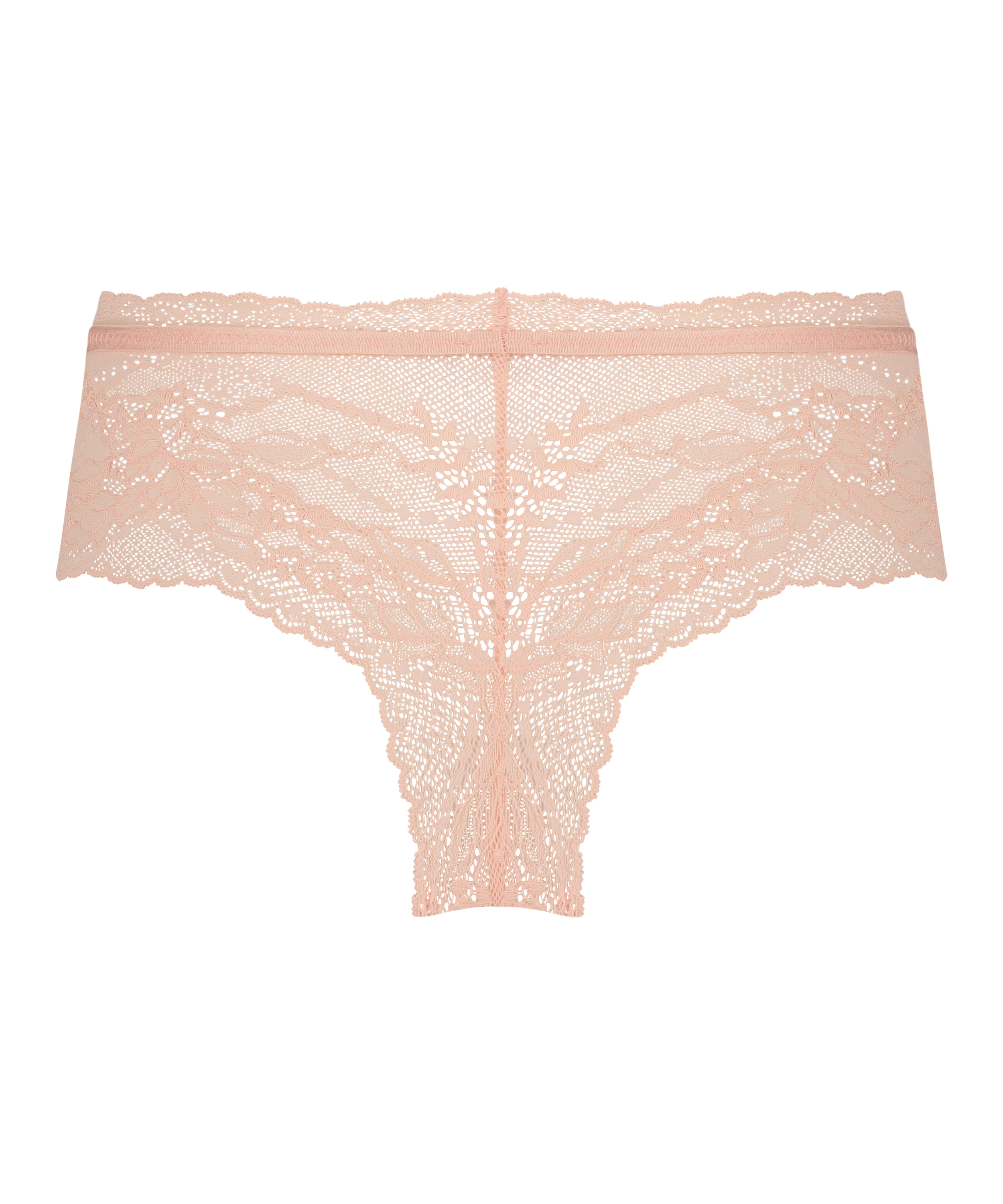 Boxer Vikki, Rose, main