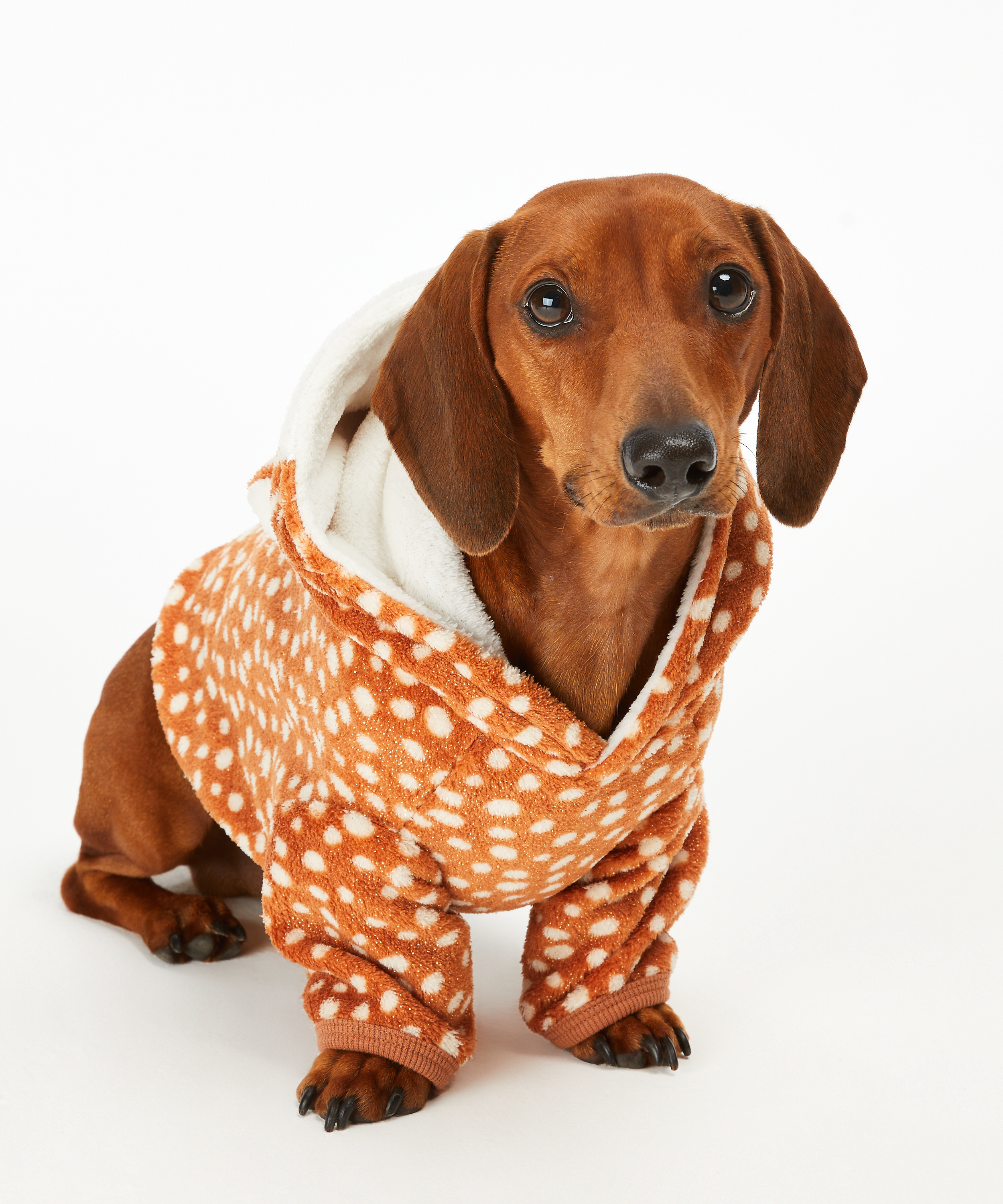 Fleece Hunde-Onesie, Braun, main