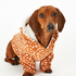Fleece Hunde-Onesie, Braun