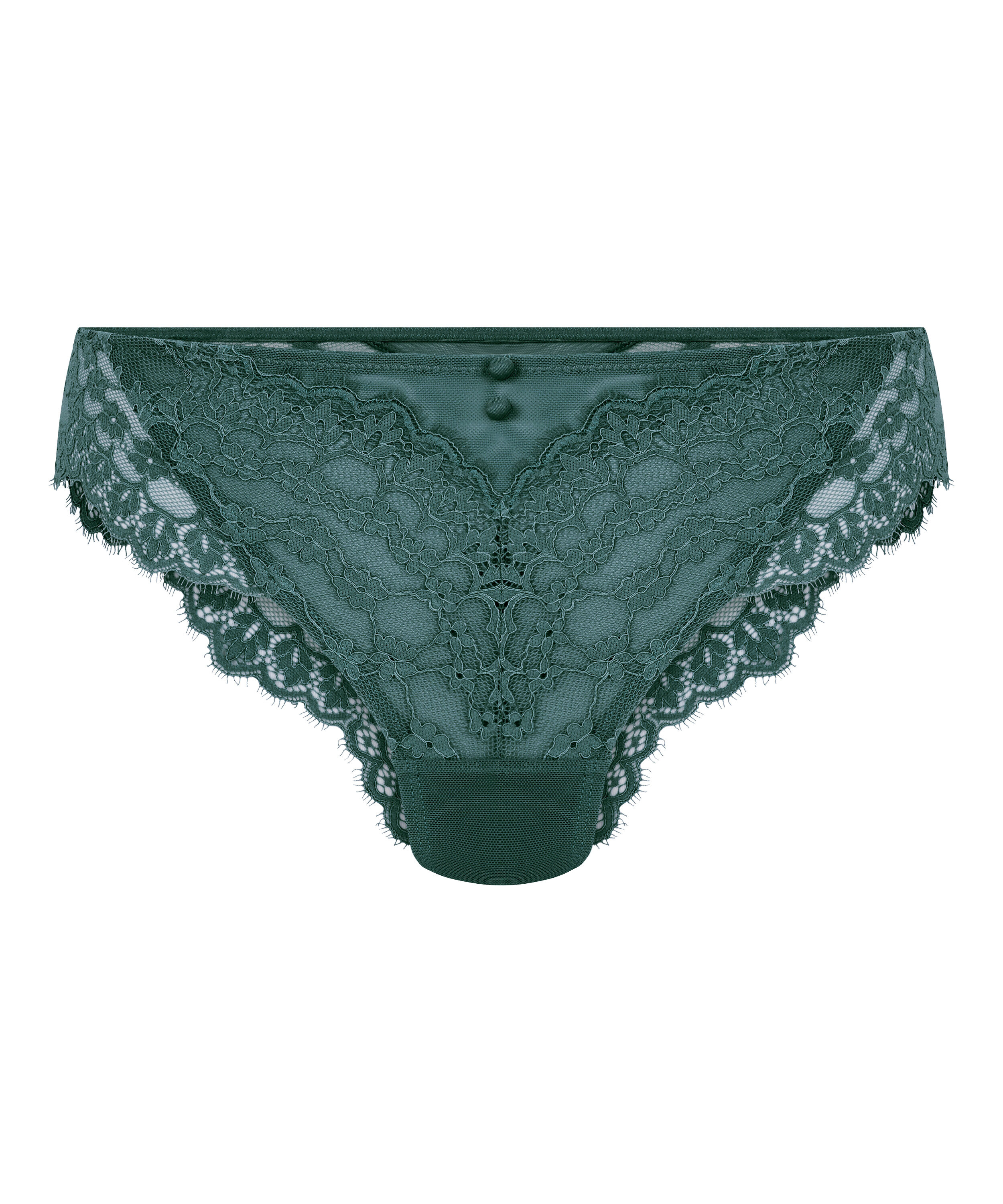 Brazilian Daisy, Blau